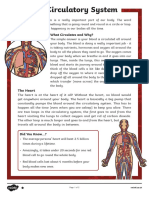 The Circulatory System: What Circulates and Why?