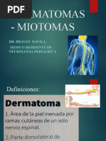 METAMERAS | PDF | Mano | Dedo del pie