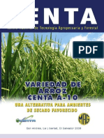 Manual de Cultivo de Arroz