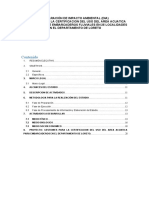 Declaración de Impacto Ambiental