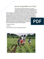 Maneras de Apoyar La Agricultura en El Perú Operativa