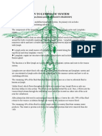 Introduction To Lymphatic System: 3D4Medical