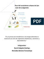 Relaciones Tróficas Del Ecosistema Urbano de San Juan de Lurigancho