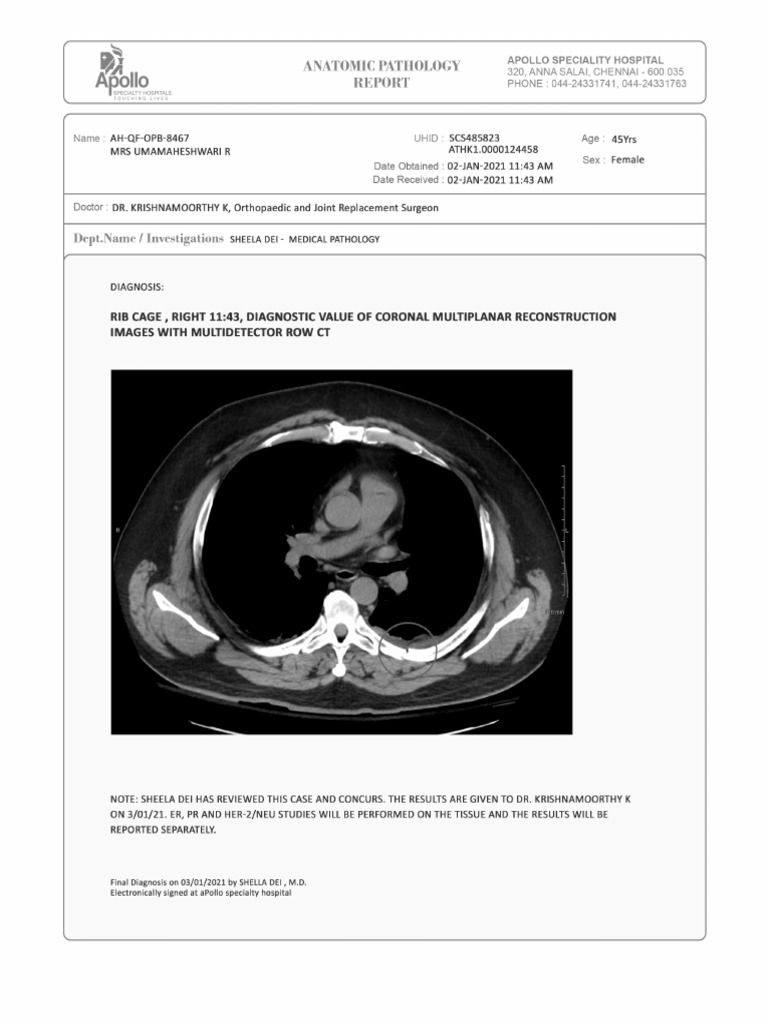 Scan Report | PDF