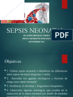Sepsis Neonatal HFVP
