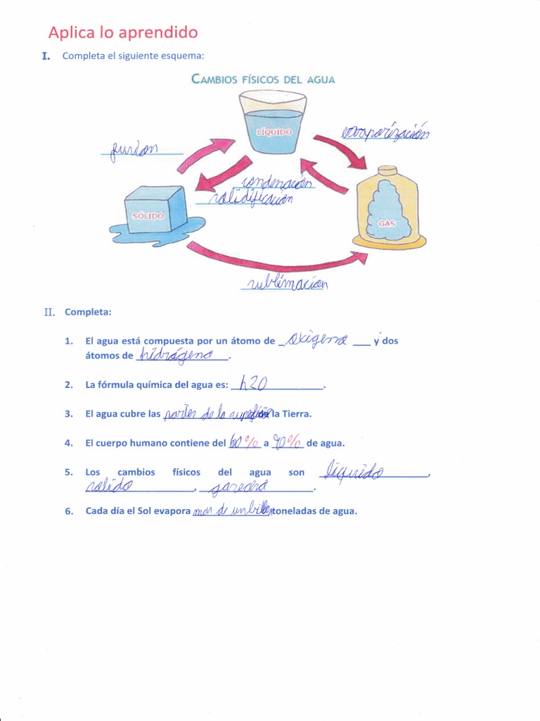 Consumo y Ahorro de Agua en Casa | PDF | Agua | Ciencias de la Tierra