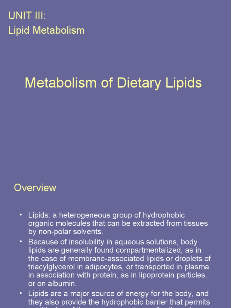 Dietary Lipid Metabolism Overview | PDF | Lipoprotein | Lipid