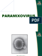 Paramixovirus: agentes causantes de enfermedades respiratorias