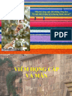 Viem Hong Cap&Man Ck1 - 2013