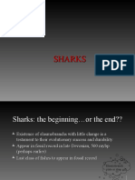 Sharks