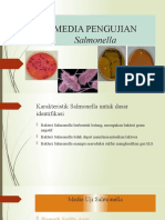 Identifikasi Bakteri Salmonella - Media Pengujian