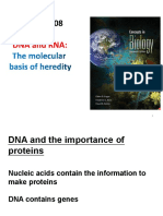 Chapter 8 - DNA and RNA