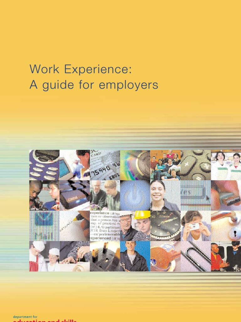 Work Ex - A Guide For Employers 27/5/03 12:38 PM Page 102 | PDF ...