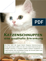 Katzenschnupfen, Globuline 4-2010, Anne Sasson