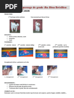 Programme Passage Grade JJB