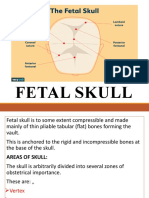 Fetal Skull