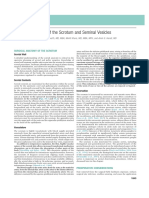 Campbell-12 Chapter 83 Surgery of The Scrotum and Seminal Vesicles p2457-2482