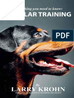Everything You Need To Know About e Collar Training 1