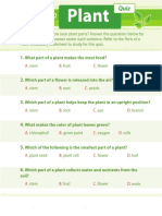 Parts of A: Plant Vocabulary Worksheet To Study For This Quiz