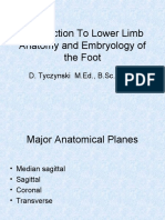 Week 1 Lecture Introduction To Lower Limb Anatomy, Embryology 2014