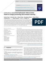 Detection of Abnormal Hydroponic Lettuce Leaves Based On Image Processing and Machine Learning