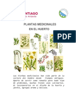 05. Plantas Medicinales en El Huerto Autor Municipio de Santiago