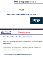 Unit 1 - Structural Organization of Chromosomes