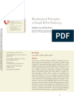 2010-Biochemical Principles of Small RNA Pathways