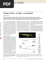 News and Views: The Gar Is A Fish Is A Bird Is A Mammal?