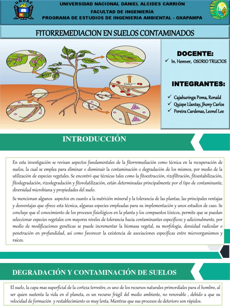 Sesion 14 G 8 Fitorremediacion Para La Recuperacion De Suelos Pdf