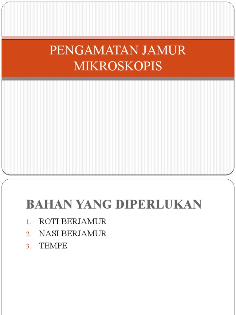 Contoh hasil pengamatan jamur mikroskopis dalam format PDF
