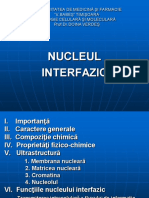 06 nucleul interfazic