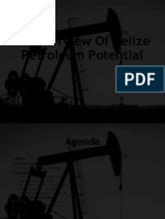 Petroleum Potential of Belize
