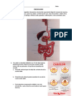 Fisa de Evaluare Digestie-2