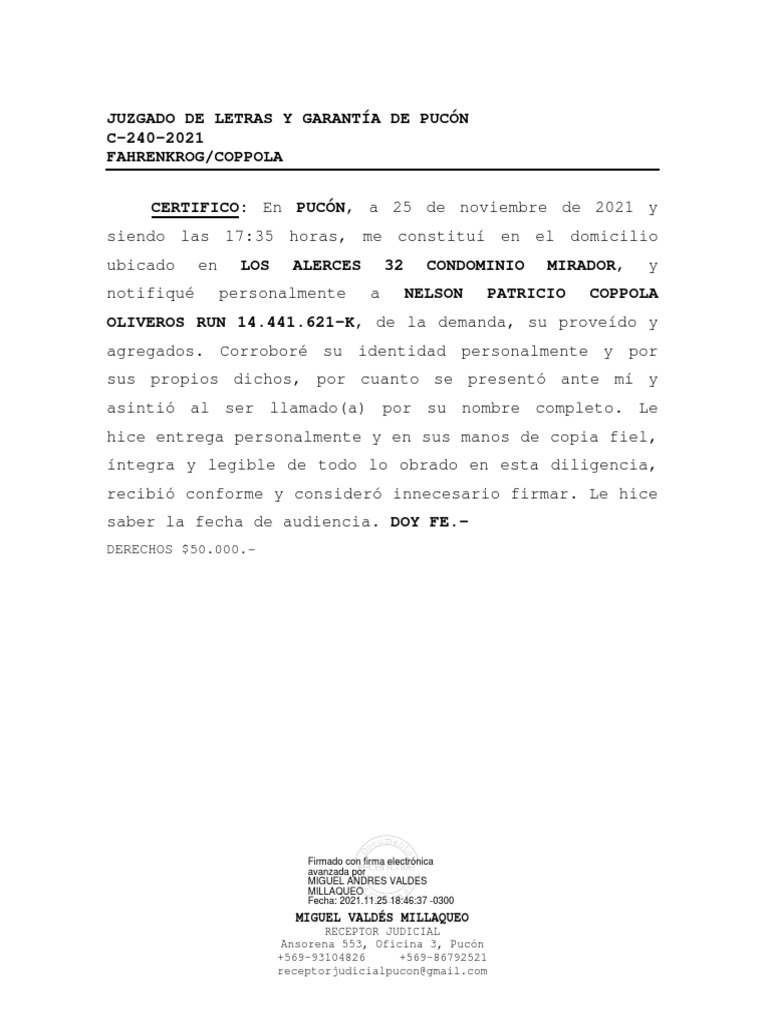 Juzgado de Letras Y Garantía de Pucón C-240-2021 Fahrenkrog/Coppola | PDF