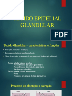 Tecido Epitelial Glandular