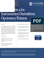 Brochure Introduccion A Instrumentos Derivados