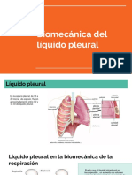 Líquido Pleural y Del Ojo