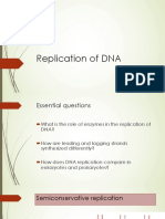 DNA replication process and comparison
