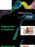 Biofisica Audición