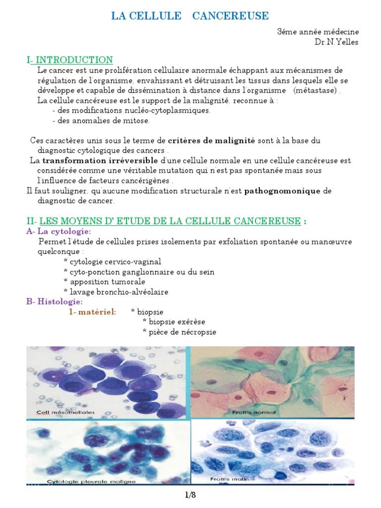 Caractéristiques des cellules cancéreuses PDF Noyau (biologie — free download