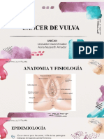 Cancer de Vulva G.3.