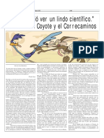 Coyote y Fisica