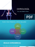 Osteología Generalidades