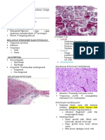 Histopatologi Sistem Endokrin