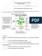 Parts of A Plant and Their Functions