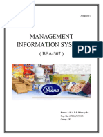 Management Information System.: Assignment 3