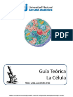 Guía celular: Estructura, composición y función de organelas