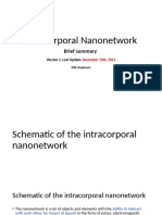 Intracorporal Nanonetwork: Brief Summary