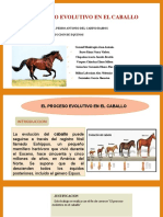 Evolucion Del Caballo